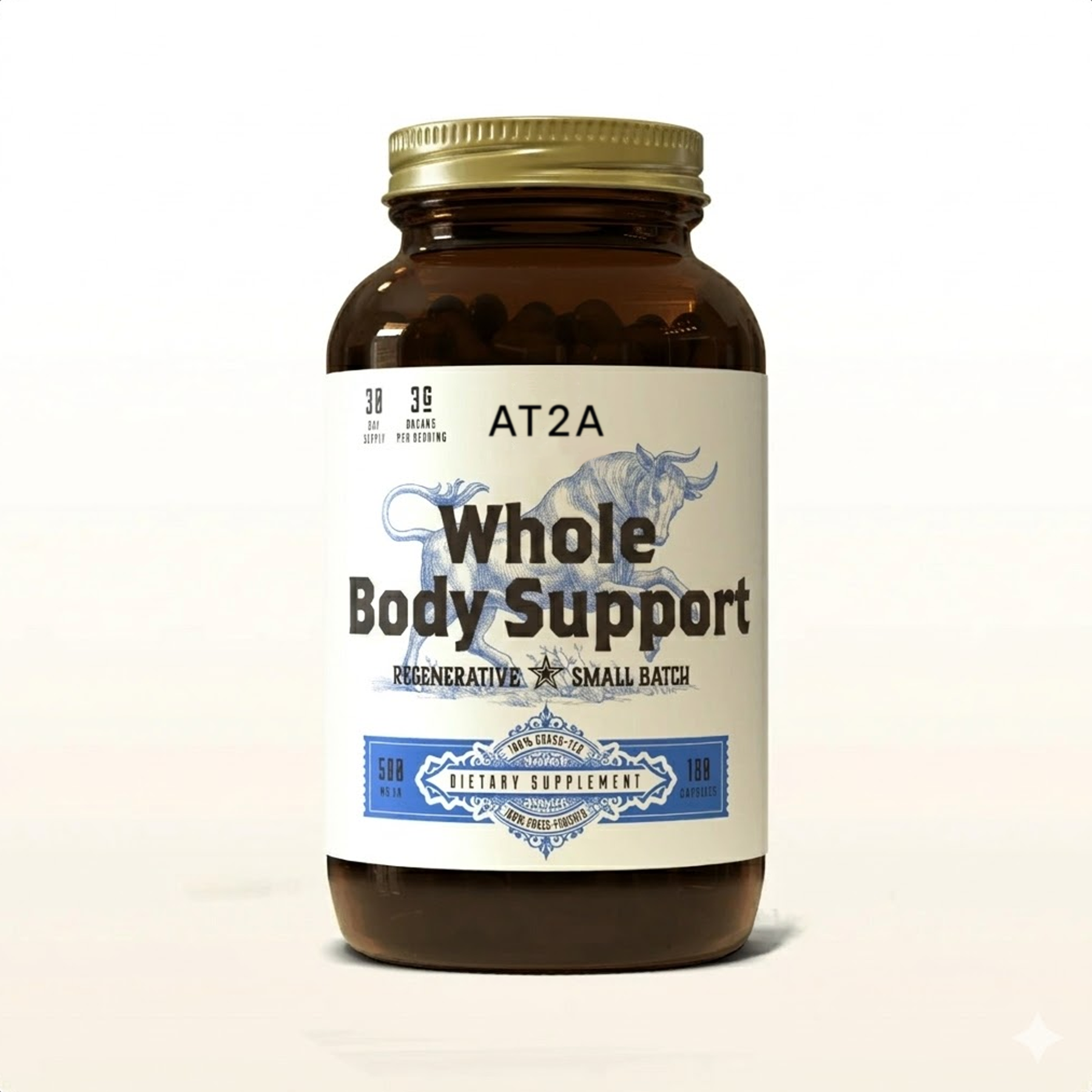 AT2A Whole Body Support
