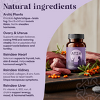 AT2A Metabolism Support Formula