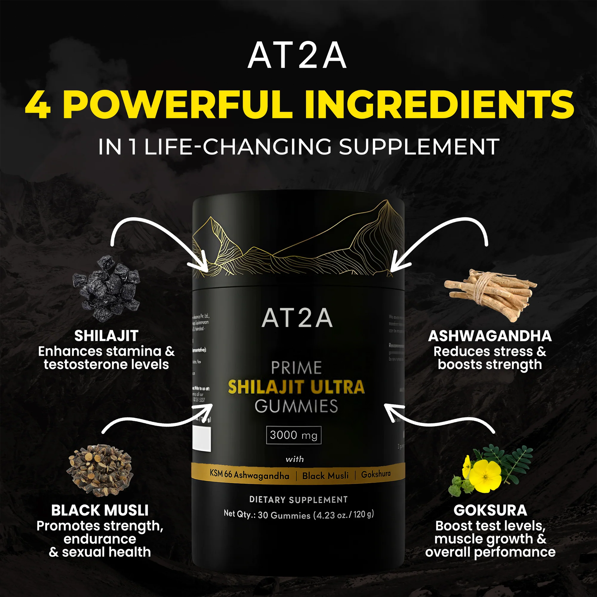 AT2A PRIME SHILAJIT ULTRA GUMMIES