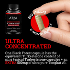 AT2A Turkesterone & Tongkat Ali | 1000MG | (Max Purity)