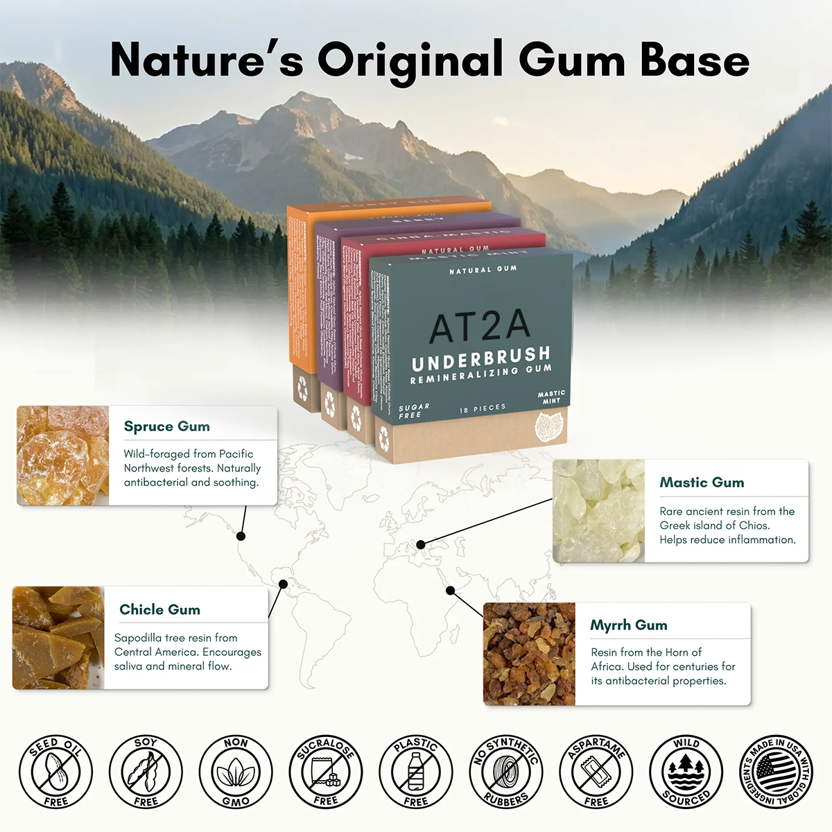 AT2A Remineralizing Gum
